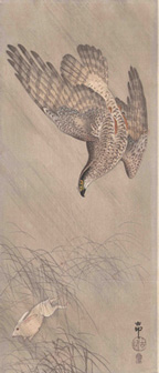 1907(明治40)年頃　小原古邨 兎を追う大鷹