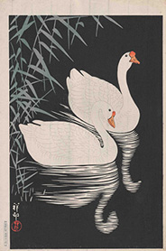 Ohara Shōson 二羽の鵞鳥 1928